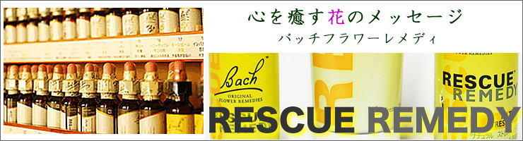 ¥Ð¥Ã¥Á¥Õ¥é¥ï¡¼¥ì¥á¥Ç¥£