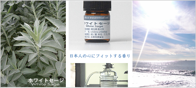 ホワイトセージ精油